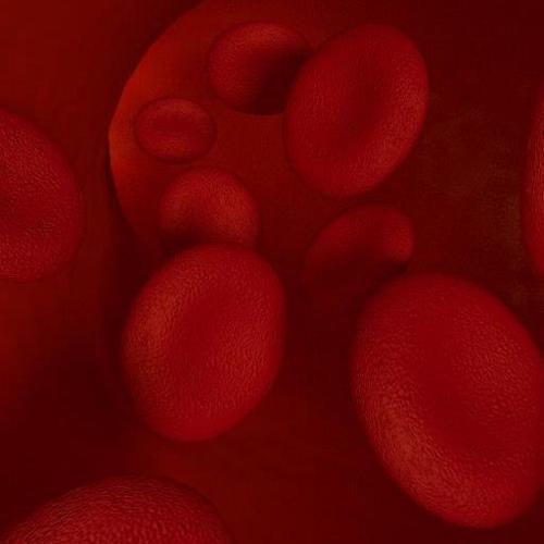 Blood cells plus Procedural Shader preview image